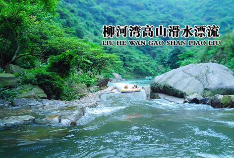 竞技宝如何